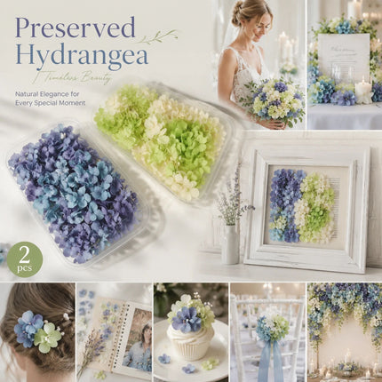 Blue Purple Shade & Pale Green Champagne Preserved Hydrangea Frame Craft Material Set of 2