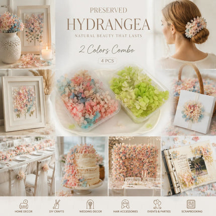 Dreamy Tone & Pale Green Champagne Preserved Hydrangea Scented Candle