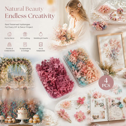 Dreamy Tone & Purple Cloud Preserved Hydrangea Resin Ornament Bulk Kit 4 Boxes