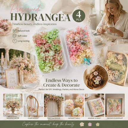 Warm Mixed Shade & Modern Mixed Shade Gradient Hydrangea Fan Decor Preserved Flower Kit 4 Boxes