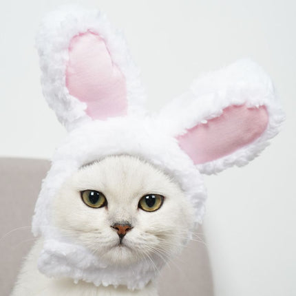4 Pcs Adorable Bunny Ears Cat Hat