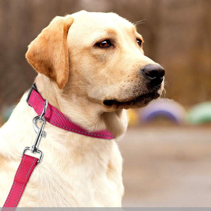 Reflective Dog Collar with Buckle Adjustable Safety Nyl Collars for Small Medium Large Dogs, Pink S