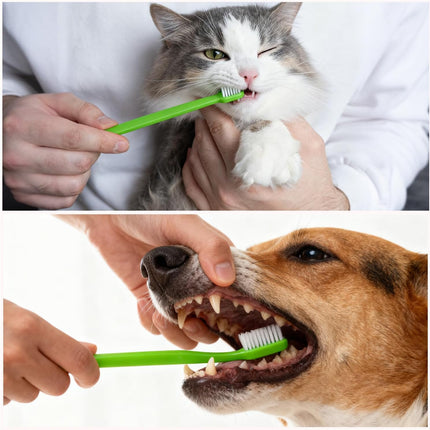 Petluno Dog Toothbrush Set of 8 - Dual Headed, Dental Hygiene Convenient Soft to Clean pet Teeth, Tooth Brushes for Small Large Dogs, Cats, and Most Pets, Teeth Brush in Bulk