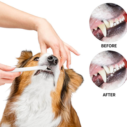 Petluno Small Dog & Cat Toothbrush 5 Set, Micro Nano Bristles to Clean pet Teeth Toothbrushes, Puppy Dogs Pet Tooth Cleaning Kit with Storage Box（White