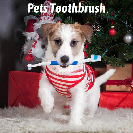 Petluno Pet Toothbrush for Dogs, Cats, Double Headed with Soft Bristles, Easy Teeth Cleaning, Non Slip Dog Toothbrushes in Bulk (Pack of 6) 6 Pcs