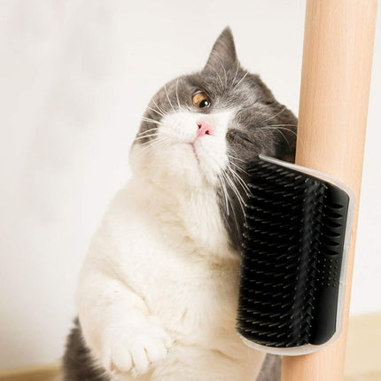 2 Pack Black Catnip Wall Massage Corner Brush for Long & Short Fur Cats and Kittens - Self Groomer Scratcher with Soft Comb