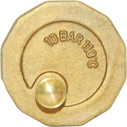 Brass 10500-VE Automatic Float Valve, 3/4" Male Thread Air Release Valve Air Bleeder Valve Vent Valve