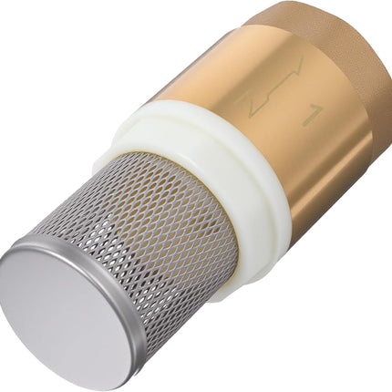 1" Foot Valve, Brass Heavy Duty Check Valve with Filter One Way Valves Female Connection Backflow Preventer Bottom Valves for Water Pump, Wells, Irrigation