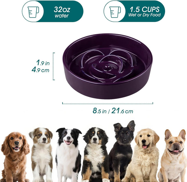 Slow Feeder Dog Bowl 1.5 Cups Ceramic Slow Feeder for Medium Breed Puzzle Maze Food Dog Bowl for Fast – product detail
