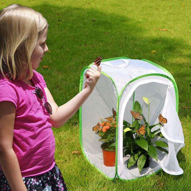 Insect and Butterfly Habitat Cage Terrarium Pop-up 23.6 Inches Tall – product detail