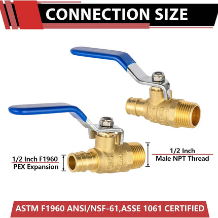 (Pack of 2)  Cold Expansion Pex-A 1/2-inch X 1/2 Inch Male MPT Brass Shut-off Ball Valve for Pex-A Pipe Connection, ASTM F1960, Blue Lever, cUPC Certified,(VALVE445)