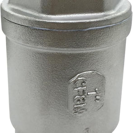 Stainless 1 NPT Threaded Check Valve Non Return One Way Horizontal Vertical Inline Water Spring Check Valve for Well, Pump, Tank, Backflow Prevention