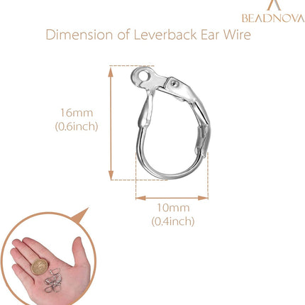 Stainless Steel Leverback Earring Hooks 100pcs French Ear Wire Lever Back Earwire for Jewelry Making Crafting