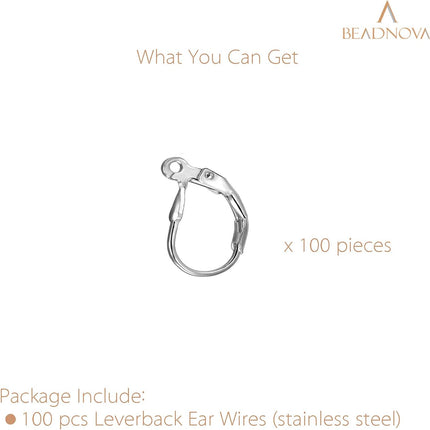 Stainless Steel Leverback Earring Hooks 100pcs French Ear Wire Lever Back Earwire for Jewelry Making Crafting