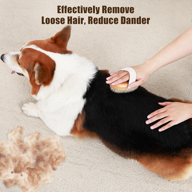 Soft Boar Bristle Pet Palm Brush for Short Haired Dogs and Cats with Band Reduce – product detail