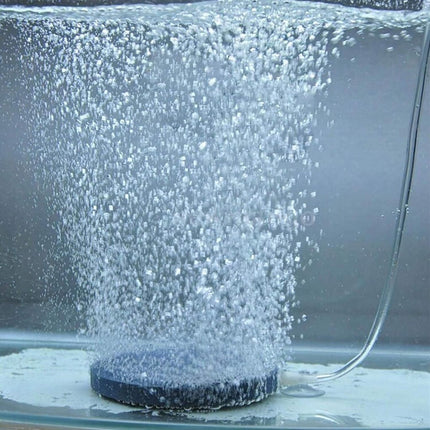 Air Stone Fish Tank Bubbler Aquarium Disc Oxygen Differ for Hydroponics Aerators Pump (2-3/8“(6 pcs))