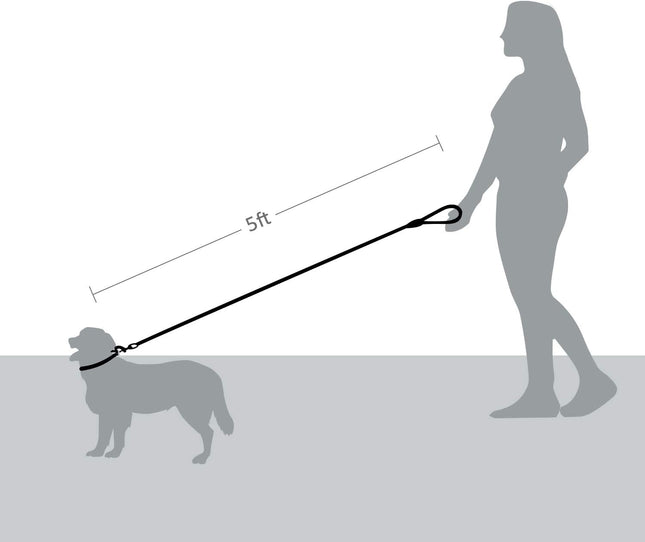 5 FT Strong Dog Leash with Comfortable Foam Handle and Highly Reflective Threads with Metal – product detail