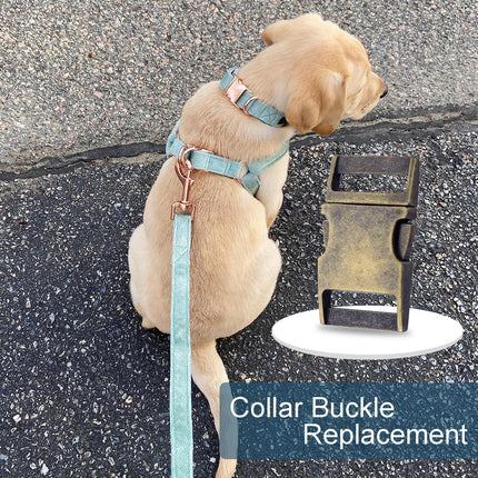CooBigo 10 Pack Bulk Dog Collar Hardware Metal Buckle 1 inch Webbing Backpack Buckle Replacement Backpack Strap Kit Prong Collar Clip Buckles(Bronze)