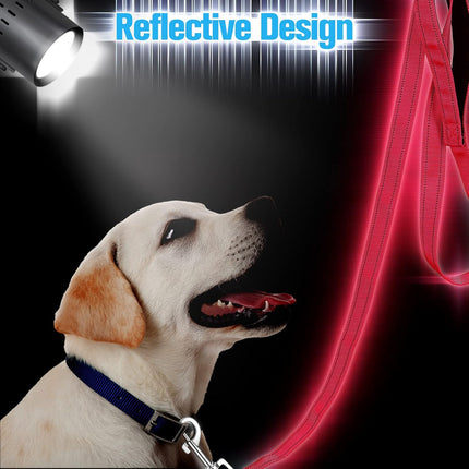 12 Pack Dog Leash Bulk, Double Sided Reflective, Nylon Leashes with Padded Handle for Small, Medium, and Large Dogs, 5 Feet Long, Puppy Walking Training