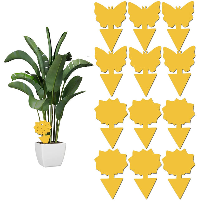 12 pack Sticky Fruit Fly and Fungus Gnat Trap Yellow Traps Insect Killer for Houseplant indoor outdoor