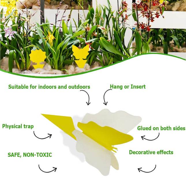 12 pack Sticky Fruit Fly and Fungus Gnat Trap Yellow Traps Insect Killer for Houseplant indoor outdoor – product detail