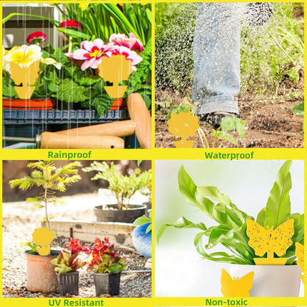 12 pack Sticky Fruit Fly and Fungus Gnat Trap Yellow Traps Insect Killer for Houseplant indoor outdoor plants 12pack