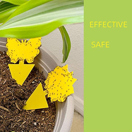 12 pack Sticky Fruit Fly and Fungus Gnat Trap Yellow Traps Insect Killer for Houseplant indoor outdoor plants 12pack