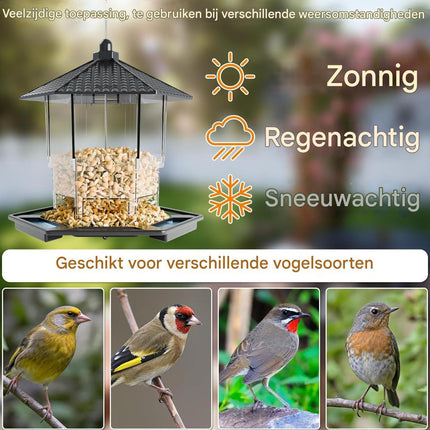 Bird Feeder Houses | Hanging and Refillable Feeding Station Squirrel-Proof Window Bird Feeder Including Landing Perch for Outdoor Garden Birds Wildlife Black