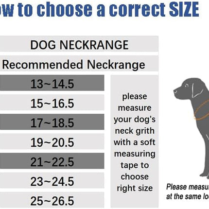 Chain Dog Training Choke Collar, 304 Stainless Steel, Total Length 20 in, 2.5 mm