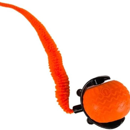 Interactive Cat Toy Ball for Indoor Cats