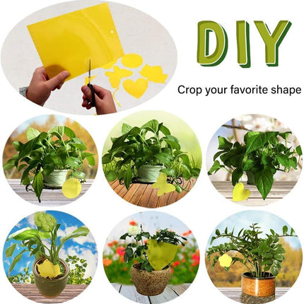 Dual-Sided Yellow Sticky Traps for Capturing Flying Plant Insects Like Fungus Gnats, Flying Aphid, Whiteflies, Leaf Miners, Other Flying Plant Insects (6x10 Inches, Twist Ties Included) (60-Pack)