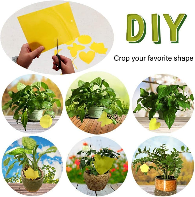 Dual-Sided Yellow Sticky Traps for Capturing Flying Plant Insects Like Fungus Gnats Flying Aphid – product detail