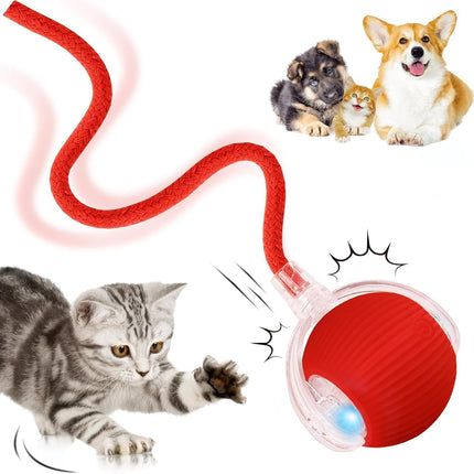 Interactive Rolling Dog Ball, Interactive Cat to-ys Rolling Ball Chewie Viral Dog Ball, Smart Automatic Rolling Pet Ball for Cats Dogs Motion Activated