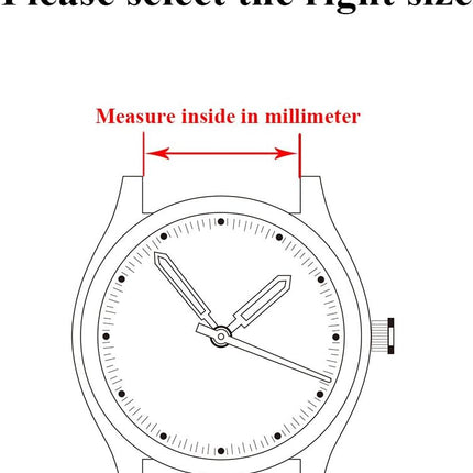 Quick Release Watch Strap,16mm 18mm 20mm 22mm 24mm Premium Solid Stainless Steel Watch Band Replacement