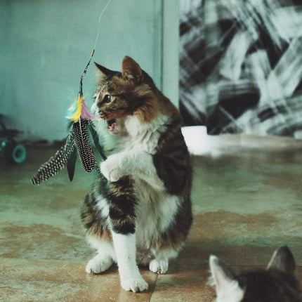 Feather Cat Toy Refill: Fits Da Bird-Handmade Natural Guinea Feather- by