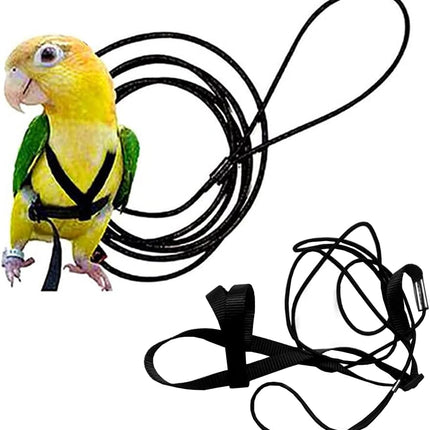 Adjustable Birds Harness and Leash Parrot Harness Leash Training Supplies Pet Anti-bite Outdoor Flying Rope for Conures Budgerigar Lovebird Cockatiel Mynah (S, Black)