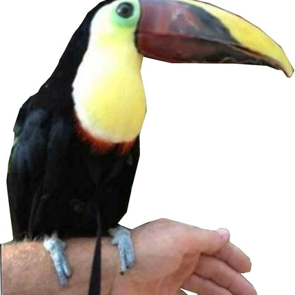Adjustable Birds Harness and Leash Parrot Harness Leash Training Supplies Pet Anti-bite Outdoor Flying Rope for Conures Budgerigar Lovebird Cockatiel Mynah (S, Black)