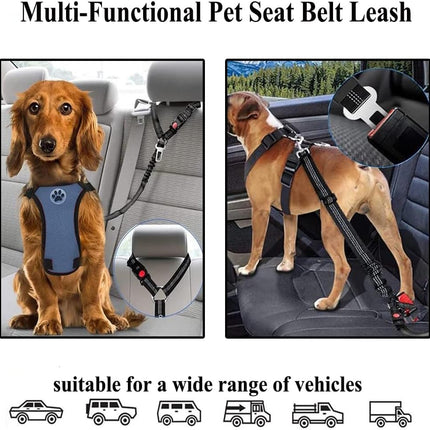 Dog Seat Belts for Car, 2 Pcs Dog Tether with Elastic Bungee Buffer, Adjustable Dog Car Seatbelts and Strong Leash Leads Accessories for Dogs Cats Pets, Black