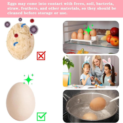 Silicone Egg Brush Cleaner with Suction Cup, Premium Fresh Egg Washer and Brush for Easy Cleaning of Farm-Fresh Eggs (Green)