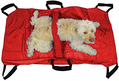 Transport Stretcher for Dogs – product detail