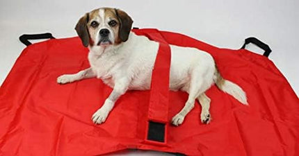 Transport Stretcher for Dogs - Emergency Animal Carrier with Safety Strap - 250 Pound Weight Limit - Pet Stretcher