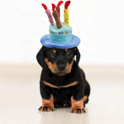 Dog Birthday Hat, Soft Plush Pet Birthday Cake Hat with 5 Colored Candles Cute Cat Birthday Party Hat for Pet Birthday Party (Blue)