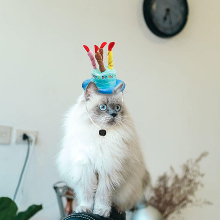 Dog Birthday Hat, Soft Plush Pet Birthday Cake Hat with 5 Colored Candles Cute Cat Birthday Party Hat for Pet Birthday Party (Blue)