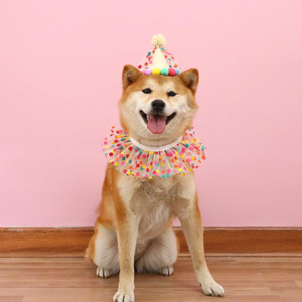Cat Dog Princess Costumes Puppy Cat Birthday Bandana Scarf and Party Hat Cute Lace Dog Bib Scarf and Christmas Hat Doggy Birthday Party Decorations Set