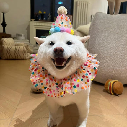 Cat Dog Princess Costumes Puppy Cat Birthday Bandana Scarf and Party Hat Cute Lace Dog Bib Scarf and Christmas Hat Doggy Birthday Party Decorations Set
