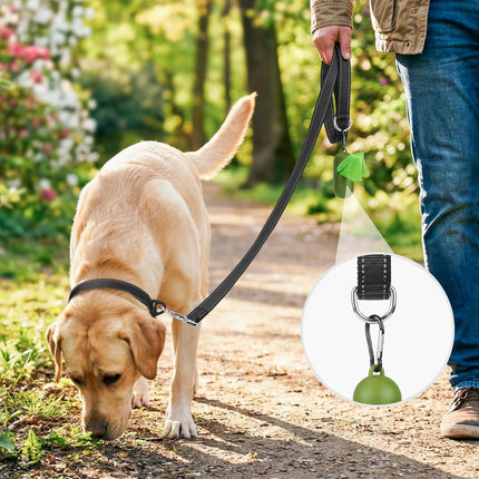 Dog Leash, 6 FT Double-Sided Reflective, Padded Handle Nylon Heavy Duty Leashes for Medium & Large Dogs Walking, Black ft Standard