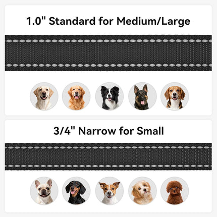Dog Leash, 6 FT Double-Sided Reflective, Padded Handle Nylon Heavy Duty Leashes for Medium & Large Dogs Walking, Black ft Standard
