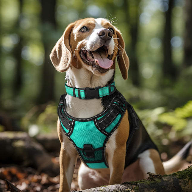 Reflective Dog Collar Soft Neoprene Padded Metal D-Ring Nylon Pet Collar Adjustable for Large Dogs Teal L – product detail