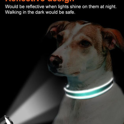 Reflective Dog Collar, Soft Neoprene Padded, Metal D-Ring, Nylon Pet Collar Adjustable for Large Dogs, Teal, L Teal (Pack of 1)