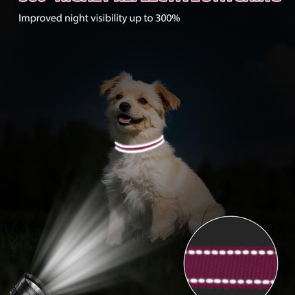 Dog Collars for Small Dogs, Feather-Light Double-Sided Reflective Nylon Collar Night Safety, Adjustable Quick-Release Growing Puppies, Hotpink, S (5/8" Width) Hot Pink S: Width 5/8", Neck 10-16"